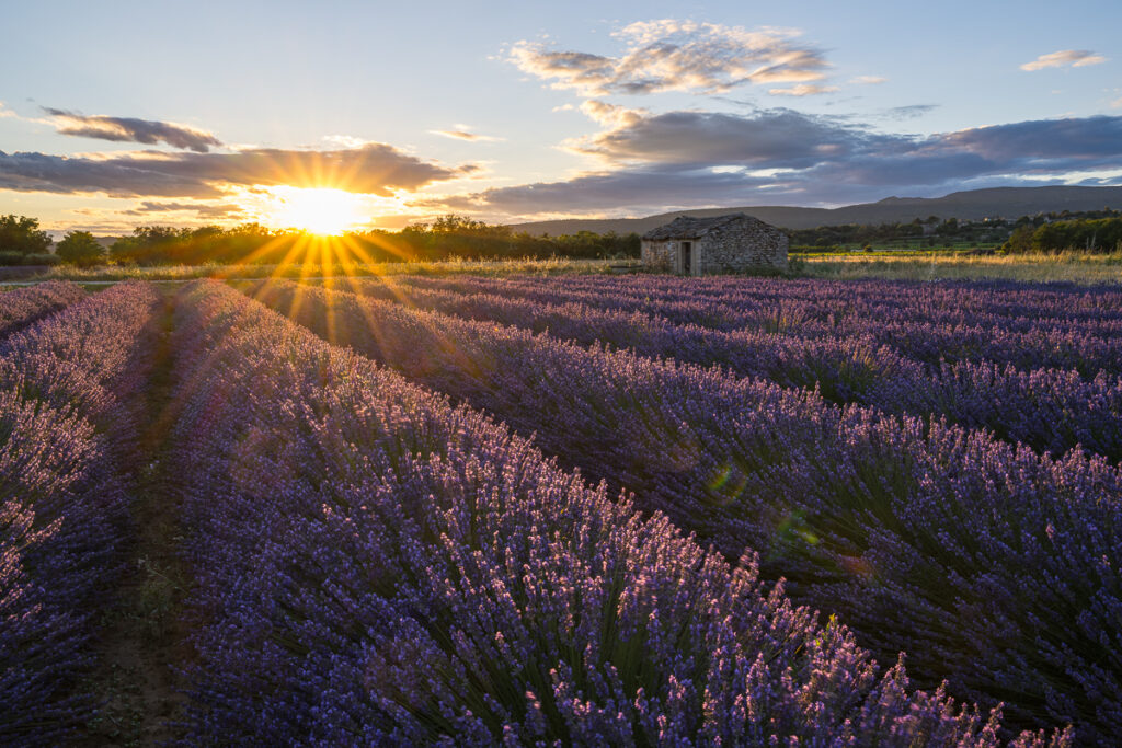 Fotoreise – Provence – 29. Juni – 6. Juli 2024